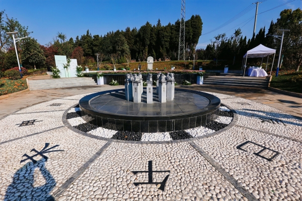 ZYC_4582-opq4456439659